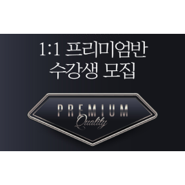 1:1 프리미엄반
